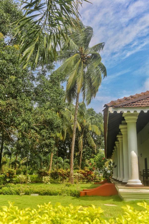 The Postcard Cuelim, Goa Hotel Cansaulim Kültér fotó